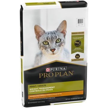 Purina pro plan focus adult sensitive skin & sales stomach lamb & rice formula dry cat food