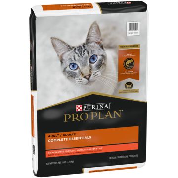 Adult cat food best sale