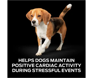 Pro Plan Veterinary Supplements Calming Care Dog Pro Plan Vet Direct