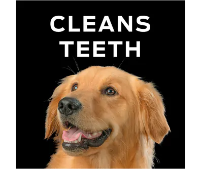 Pro Plan Vet Diets Dental Chewz Dog Treats Pro Plan Vet Direct