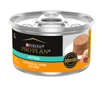 How many cans of wet food to feed kitten best sale