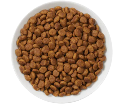 Purina nf dry cat food hotsell