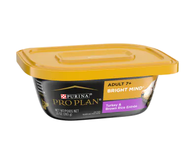 Shops purina dog food turkey