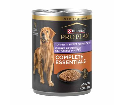 Purina pro plan for older dogs best sale