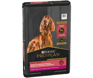 Purina sensitive stomach dog hotsell