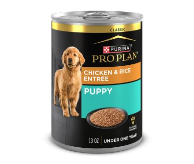 13oz can of Purina Pro Plan puppy classic chicken and rice wet dog food