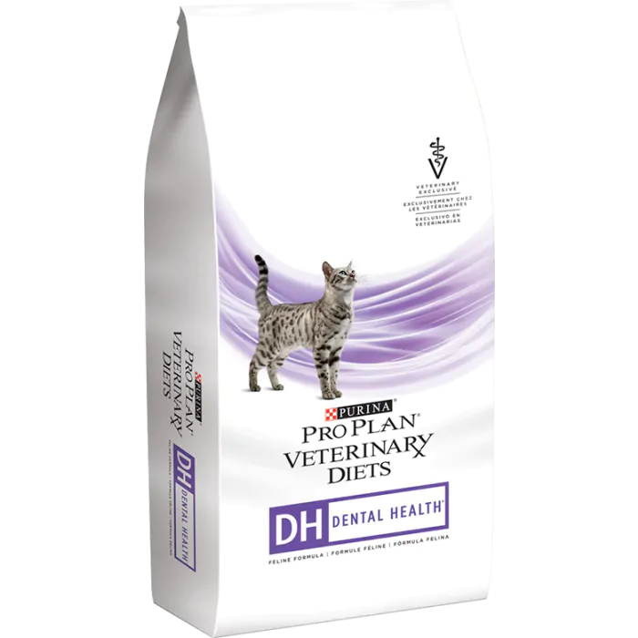 Oral health cat clearance food