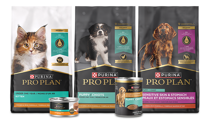 Lineup of Pro Plan packages for puppies and kittens.