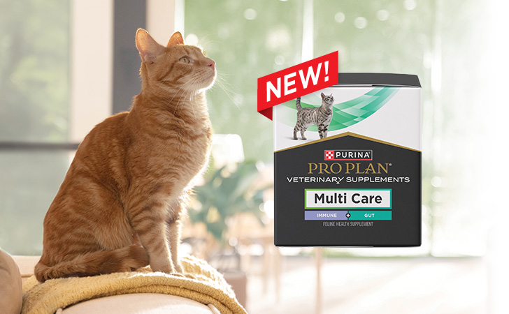 New Multi Care Feline Health Supplement package next to a cat